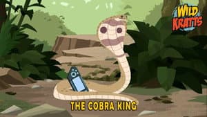 Episodio 4