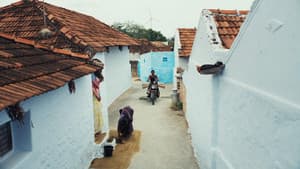 மயிலா — foto 2