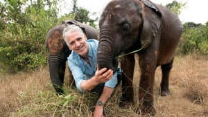 Gordon Buchanan: Elephant Family & Me — foto 1