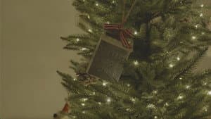 Santa's Never Been to My House — foto 1