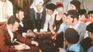 Episodio 7