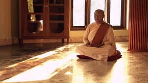The Buddha — foto 1