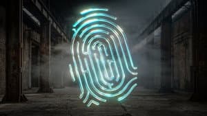 De Mol — foto 1