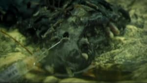 Cannibal — foto 5