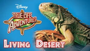 El Desierto Viviente — foto 2