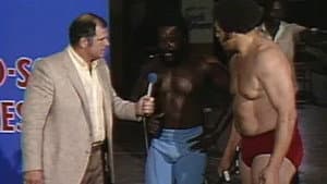 Episodio 28