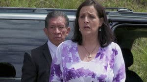 Episodio 26