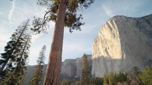 Amerikas Beste Idee - 150 Jahre Nationalparks in den USA — foto 2
