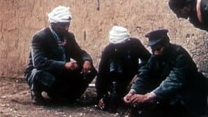 Algérie en flammes — foto 6