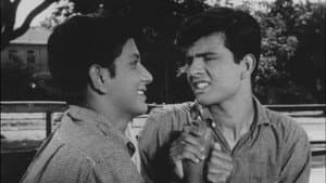 दोस्ती — foto 1