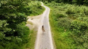 Dear Departed — foto 3