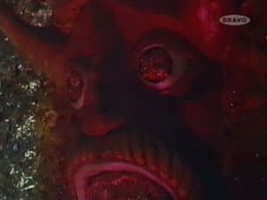 Episodio 6