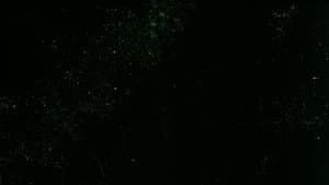 Here are some Images — foto 1