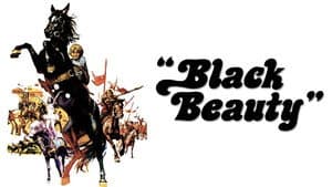Black Beauty — foto 5