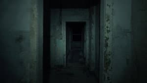 Spirits in the Dark — foto 1