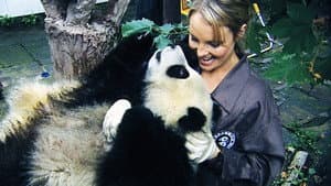 Sneezing Baby Panda: The Movie — foto 1