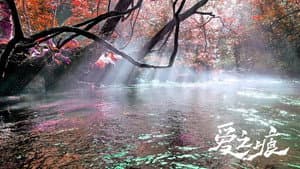 爱·之痕 — foto 1