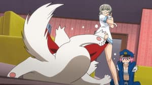 Episodio 10