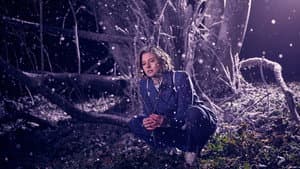 Der Pfau — foto 3