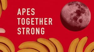 Apes Together Strong — foto 2