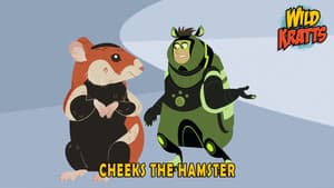 Episodio 6