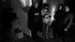 La noche del chihuahua — foto 1