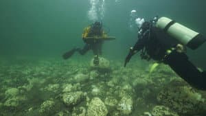 Le naufrage de L'Île aux Oeufs — foto 1