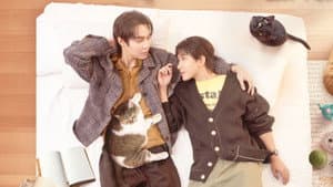 เปย์รักด้วยแมวเลี้ยง — foto 5