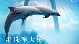 港珠澳大桥 — foto 1