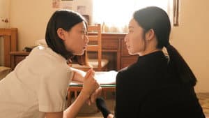 白兔 — foto 1
