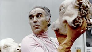 L'Extravagant Monsieur Piccoli — foto 2
