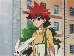 Episodio 9