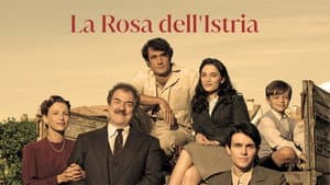 La rosa dell'Istria — foto 2