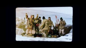 Must alpinist — foto 2