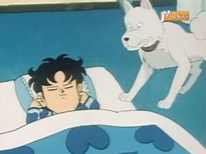 Episodio 35