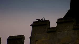 Crisis at the Castle — foto 1