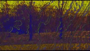 Joose Psychedelia Test — foto 1