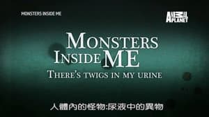 Episodio 12