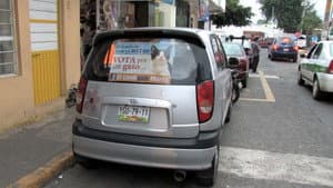 La historia detrás del candigato — foto 2
