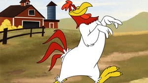 Lovelorn Leghorn — foto 1