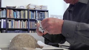 Breakthrough: The Earliest Americans — foto 2