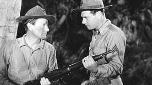 Come On, Marines! — foto 1