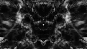 Meditations in Black and White I: Roots — foto 2