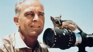 Serengeti darf nicht sterben — foto 1