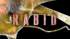 Rabid — foto 3