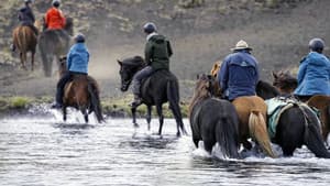 Islande, la quête des origines — foto 3