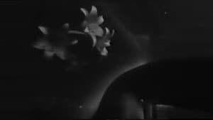 Aleph — foto 2