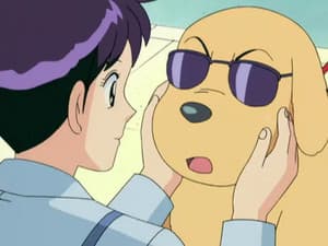 Episodio 264
