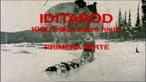 Episodio 13