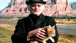 Harry and Tonto — foto 7
